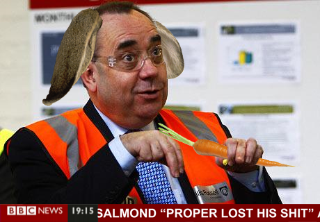 alex salmond rabbit