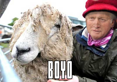 questionable time 10 david dimbleby sheep