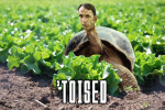 will self tortoise