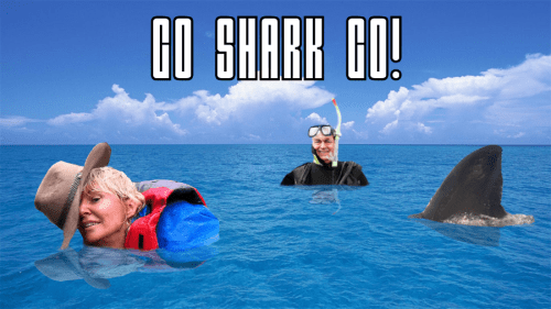 nadine dories shark john prescott